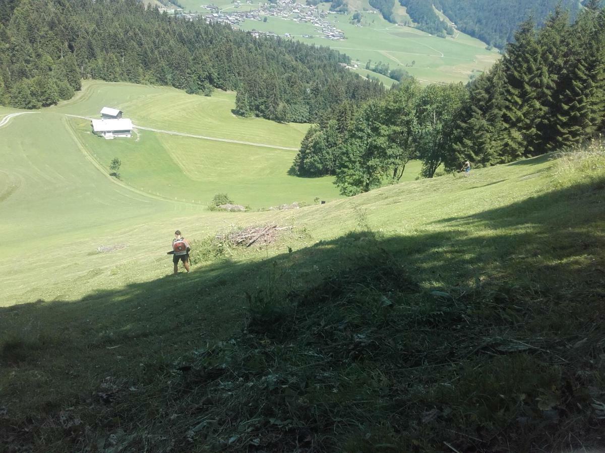 Kirchdorf 300 Daire Bizau Dış mekan fotoğraf